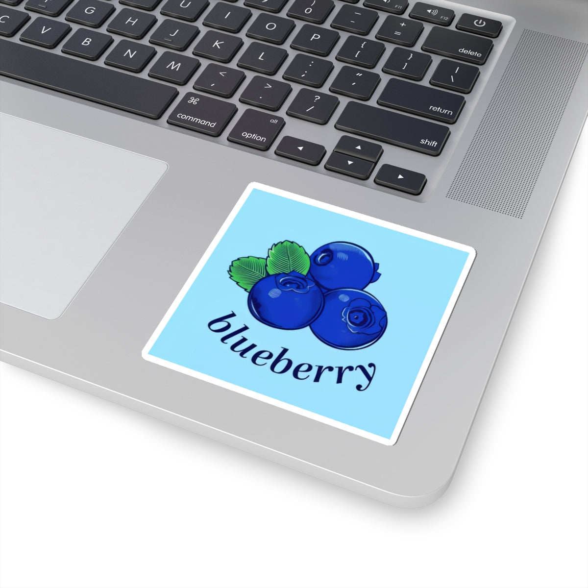 Blueberry Sticker
