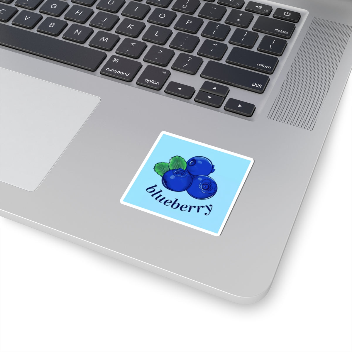 Blueberry Sticker